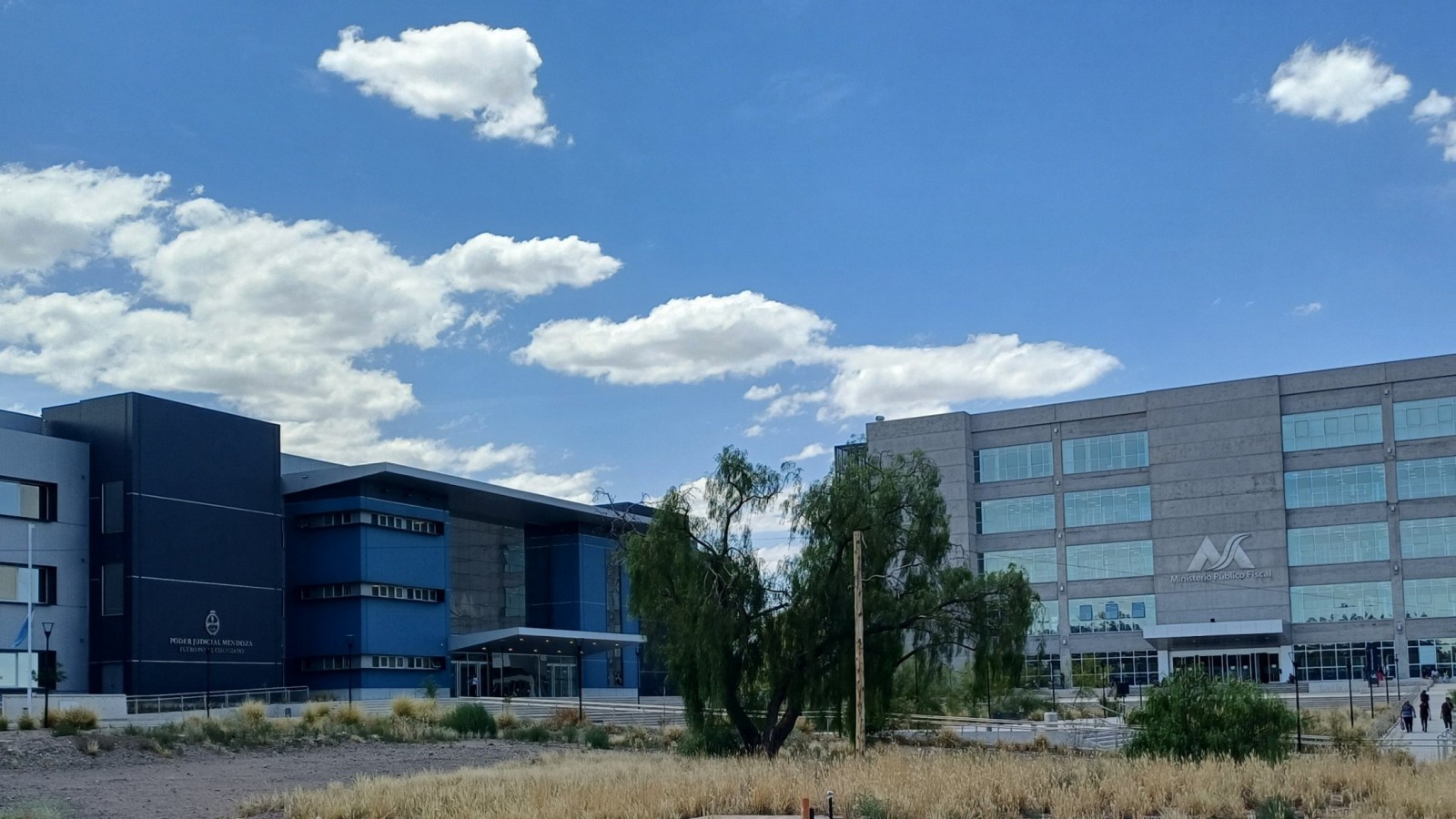 Tal como lo pidieron: sobreseyeron a los rugbiers franceses